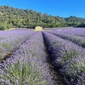 Coeur De Provence Appartement Gréoux-les-Bains